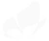 white-buttterfly